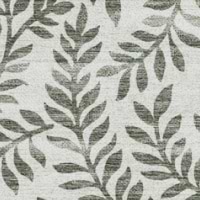 Eucalyptus