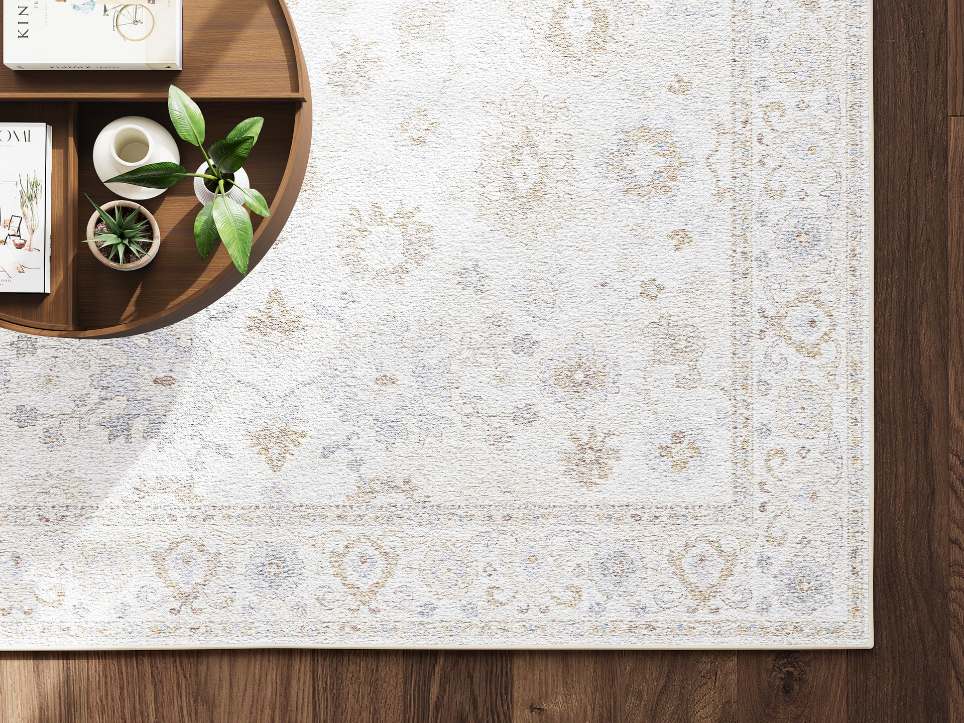 Seashell rug top view