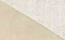 Sand Dune